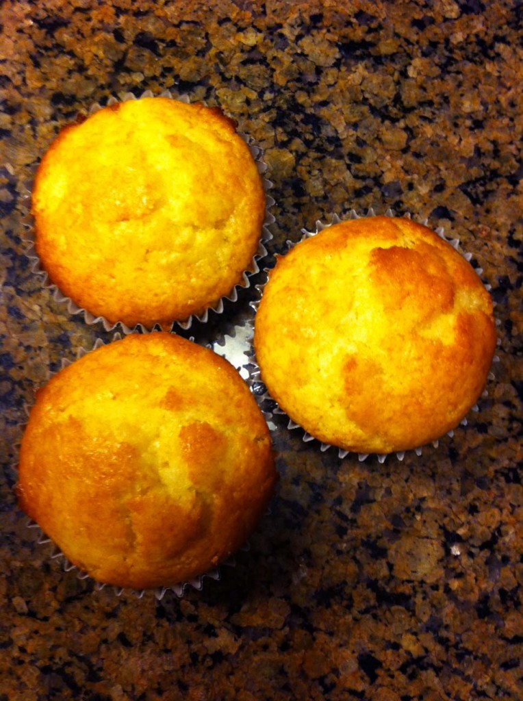 Orange Muffins Toothless Wahine